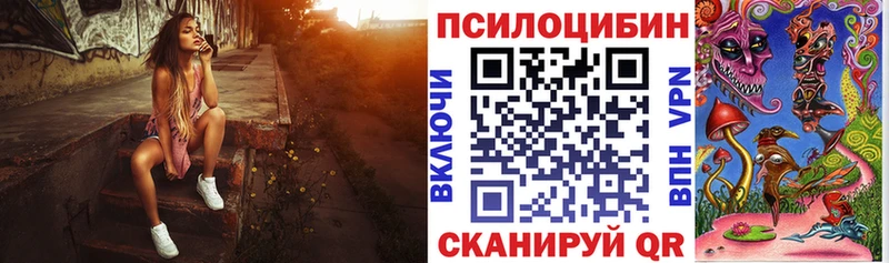 Псилоцибиновые грибы Psilocybine cubensis  купить   Фёдоровский 