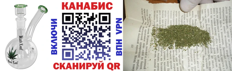 Конопля сатива  где купить наркоту  Фёдоровский 
